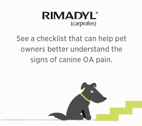 Long term rimadyl sales use dogs