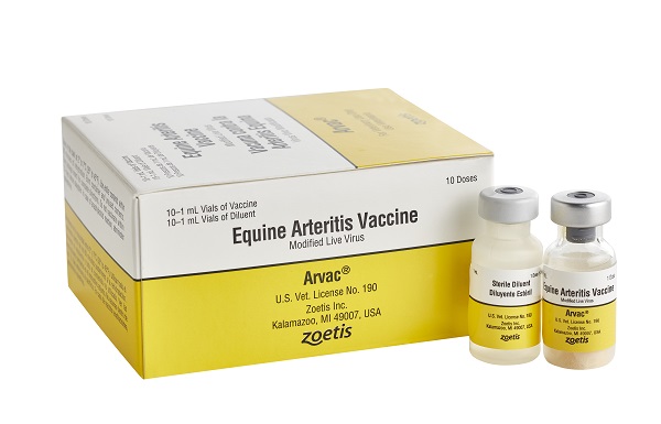 Arvac Equine Arteritis Vaccine 10 dose (10 x 1 mL)