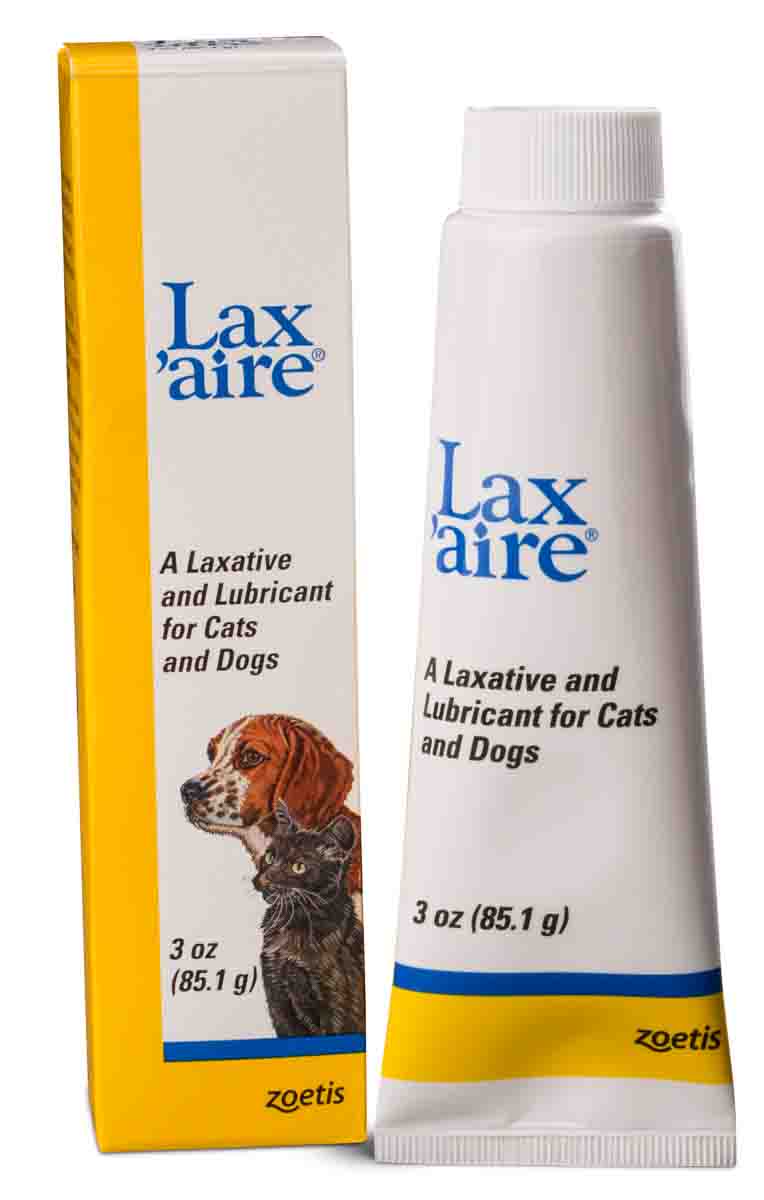 What to give a dog for hot sale a laxative