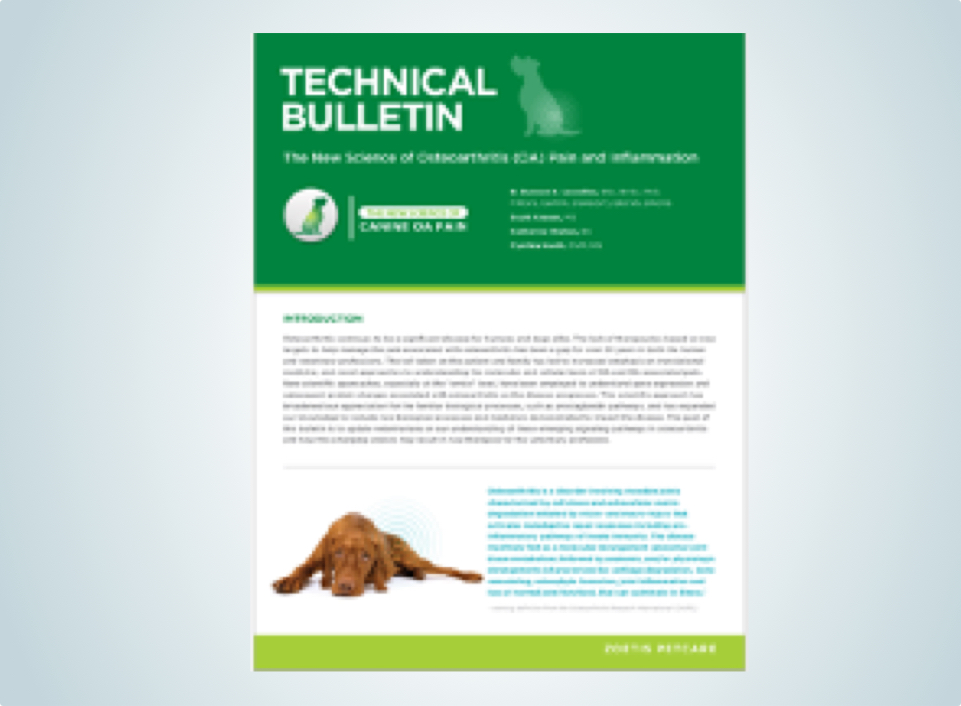 Download these pain scales - Veterinary Practice News