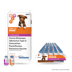 Distemper and 2024 parvo vaccine