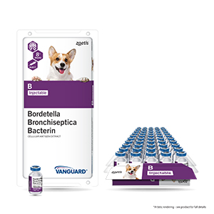 Bordetella vaccine at hot sale home