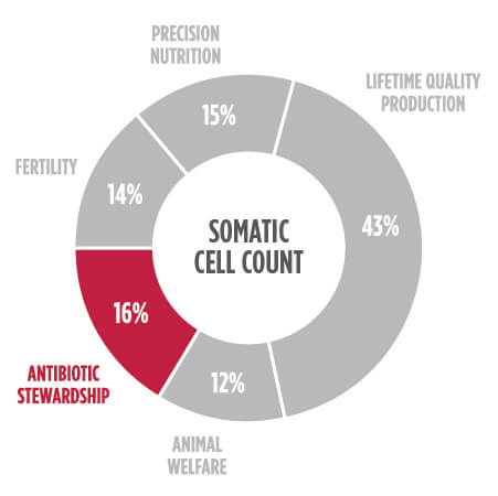 First Genomic Test for Jersey Cattle Launched by Zoetis