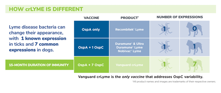 are lyme disease vaccines for dogs safe